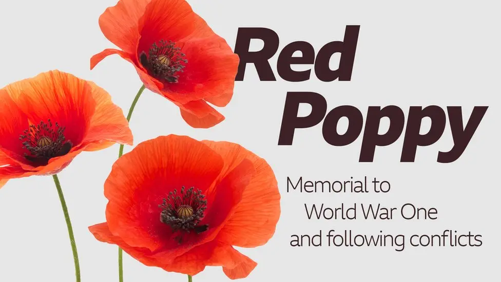 Poppies Project Poppies Project