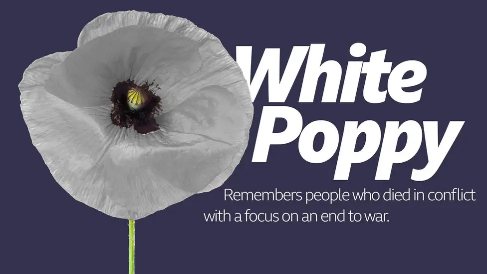 Poppies Project Poppies Project