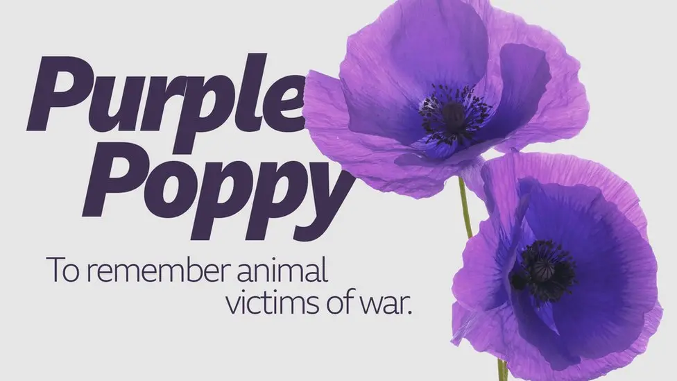 Poppies Project Poppies Project